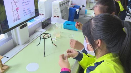長白山 菜單式課后服務賦能“雙減”落地，教育咨詢精準護航