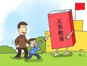 濰坊發布2017年城區義務教育招生政策，教育咨詢服務同步啟動