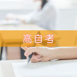 天津慧永諾教育信息咨詢 專業引領，點亮未來教育之路